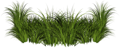 NPlod Systems Grass